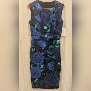 NWT Enfocus dress